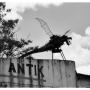 WGT2001_06